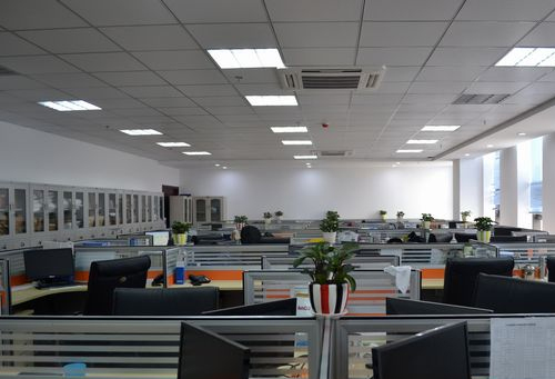 校友會(huì)2025大學(xué)人力資源管理專業(yè)排名（技能型），廣東工商職業(yè)技術(shù)大學(xué)第一:人力資源